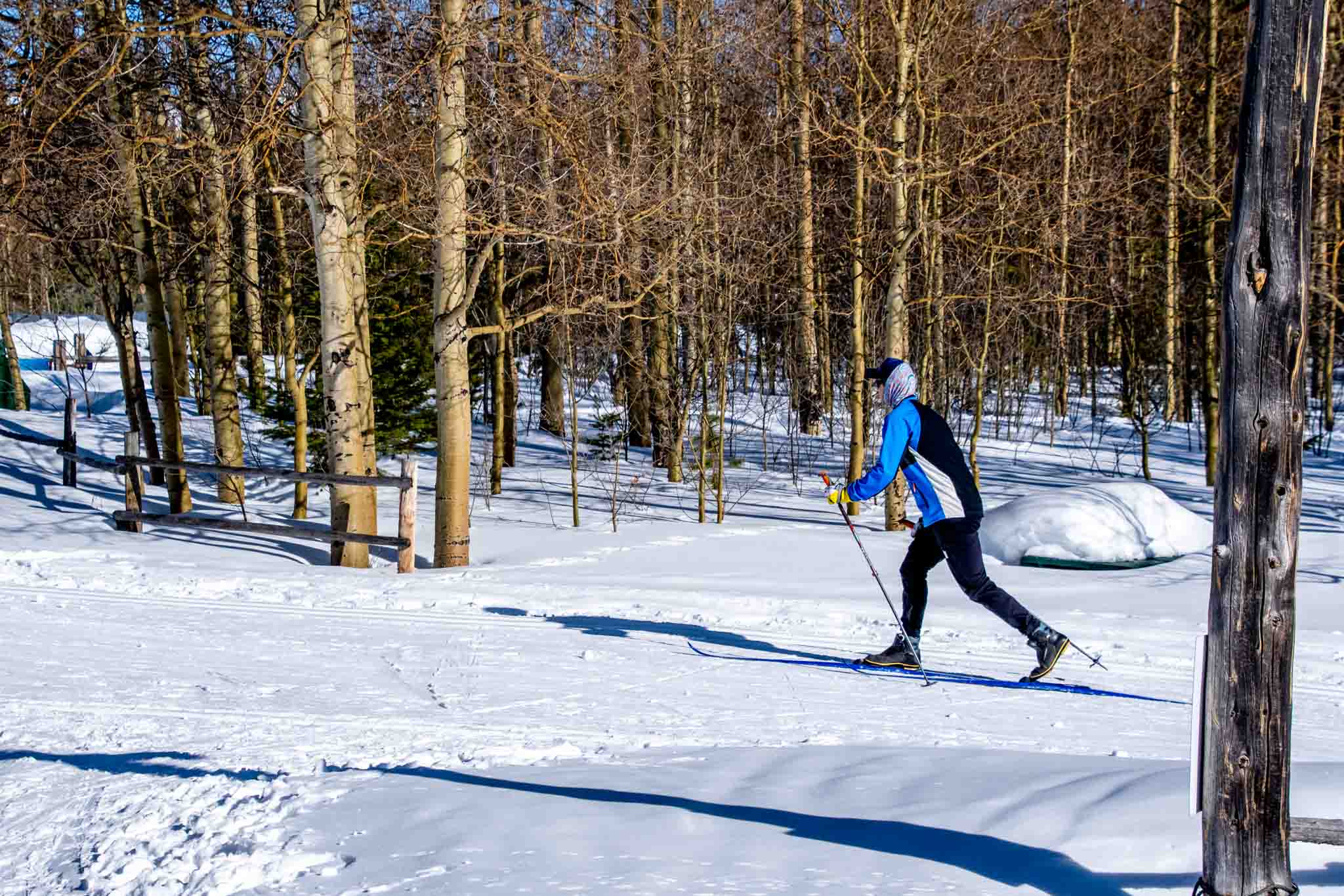 Man cross country skiing at Snow Mountain Ranch