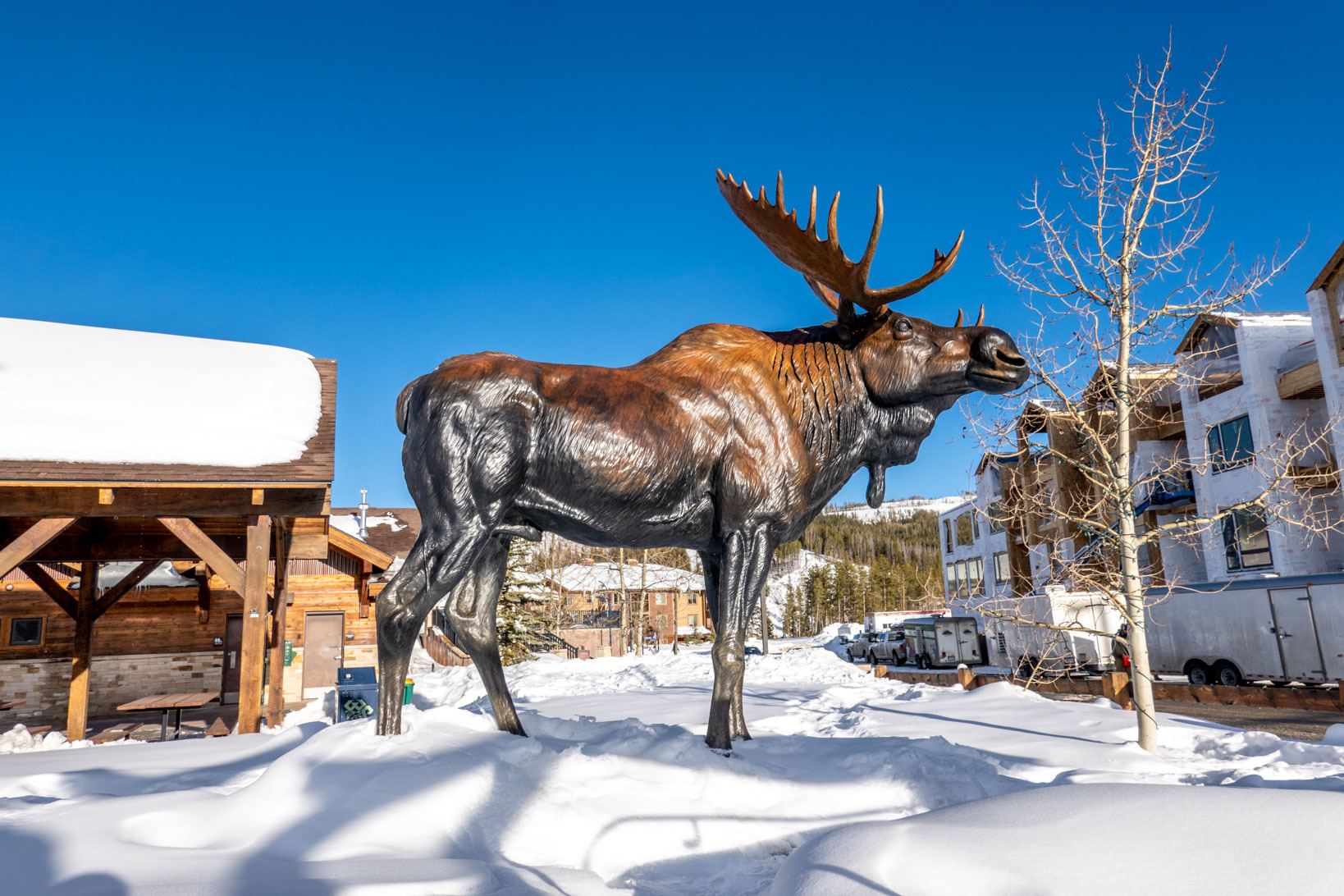 Moose sculpture in downtown Winter Park Colorado